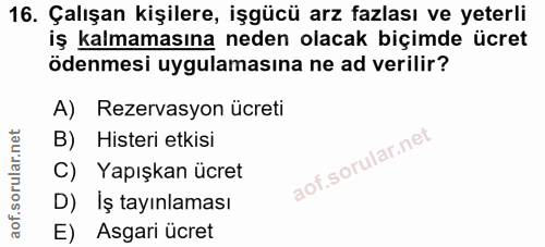 16. soru: Çalışan kişilere, işgücü arz fazlası ve yeterli iş kalmamasına neden olacak biçimde ücret ödenmesi uygulamasina ne ad…