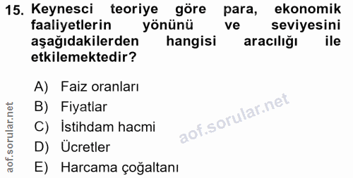 15. soru: Keynesci teoriye göre para, ekonomik faaliyetlerin yönünü ve seviyesini aşağıdakilerden hangisi aracılığı ile etkilem…