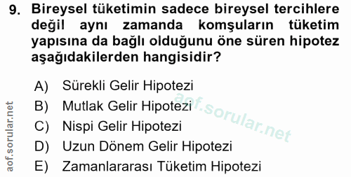 9. soru: Bireysel tüketimin sadece bireysel tercihlere değil aynı zamanda komşuların tüketim yapısına da bağlı olduğunu öne sü…