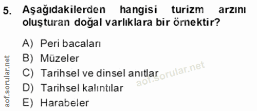 5. soru: Aşağıdakilerden hangisi turizm arzıni oluşturan doğal varlıklara bir örnektir? A) Peri bacaları C) Tarihsel ve dinsel…