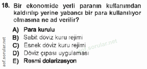 18. soru: Bir ekonomide yerli paranın kullanımdan kaldırılıp yerine yabancı bir para kullanılıyor olmasına ne ad verilir? A) Pa…