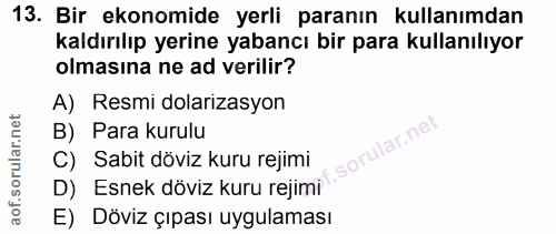 13. soru: Bir ekonomide yerli paranın kullanımdan kaldırılıp yerine yabancı bir para kullanılıyor olmasına ne ad verilir? A) Re…