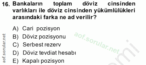 16. soru: Bankaların toplam döviz cinsinden varlıkları ile döviz cinsinden yükümlülükleri arasındaki farka ne ad verilir? A) Ca…