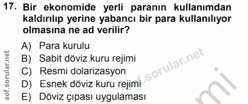 17. soru: Bir ekonomide yerli paranın kullanımdan kaldırılıp yerine yabancı bir para kullanılıyor olmasına ne ad verilir? A) Pa…