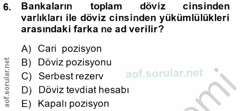 6. soru: Bankaların toplam döviz cinsinden varlıkları ile döviz cinsinden yükümlülükleri arasındaki farka ne ad verilir? A) Ca…