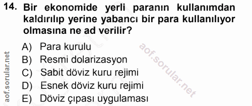 14. soru: Bir ekonomide yerli paranın kullanımdan kaldırılıp yerine yabancı bir para kullanılıyor olmasına ne ad verilir? A) Pa…