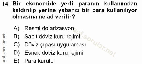 14. soru: Bir ekonomide yerli paranın kullanımdan kaldırılıp yerine yabancı bir para kullanılıyor olmasına ne ad verilir? A) Re…