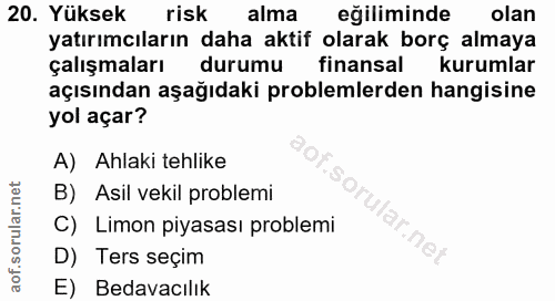 20. soru: Yüksek risk alma eğiliminde olan yatırımcıların daha aktif olarak borç almaya çalışmaları durumu finansal kurumlar aç…