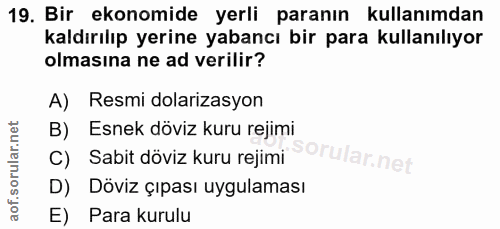 19. soru: Bir ekonomide yerli paranın kullanımdan kaldırılıp yerine yabancı bir para kullanılıyor olmasına ne ad verilir? A) Re…