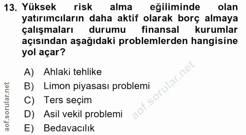 13. soru: Yüksek risk alma eğiliminde olan yatırımcıların daha aktif olarak borç almaya çalışmaları durumu finansal kurumlar aç…
