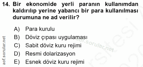 14. soru: Bir ekonomide yerli paranın kullanımdan kaldırılıp yerine yabancı bir para kullanılması durumuna ne ad verilir? A) Pa…