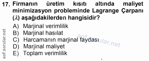 17. soru: Firmanın üretim Kısıtı altında maliyet minimizasyon probleminde Lagrange Çarpanı (2) aşağıdakilerden hangisidir? A) M…