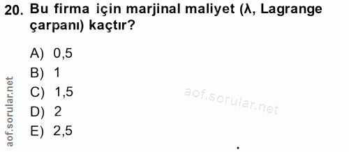 20. soru: Bu firma için marjinal maliyet (1, Lagrange çarpanı) kaçtır? A) 0,5 B) 1 C) 1,5 l D) 2 E) 2,5