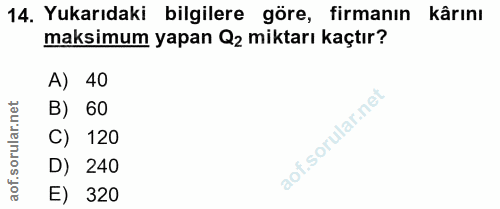 14. soru: Yukarıdaki bilgilere göre, firmanın kârını maksimum yapan Q2 miktarı kaçtır? A) 40 B) 60 C) 120 D) 240 E) 320
