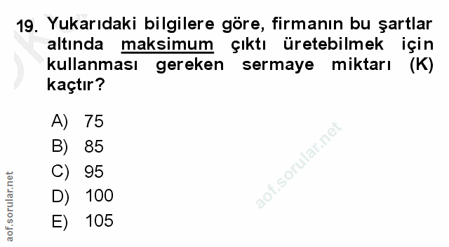 19. soru: Yukarıdaki bilgilere göre, firmanın bu şartlar altında maksimum çıktı üretebilmek için kullanması gereken sermaye mik…