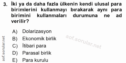3. soru: Iki ya da daha fazla ülkenin kendi ulusal para birimlerini kullanmayı bırakarak aynı para birimini kullanmaları durum…
