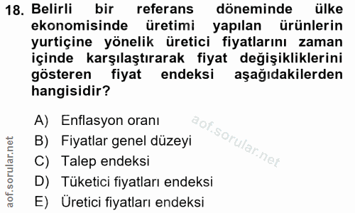 18. soru: Belirli bir referans döneminde ülke ekonomisinde üretimi yapılan ürünlerin yurtiçine yönelik üretici fiyatlarını zama…