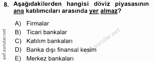 8. soru: Aşağıdakilerden hangisi döviz piyasasının ana katılımcıları arasında yer almaz? A) Firmalar B) Ticari bankalar sorula…