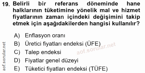19. soru: Belirli bir referans döneminde hane halklarının tüketimine yönelik mal ve hizmet fiyatlarının zaman içindeki değişimi…