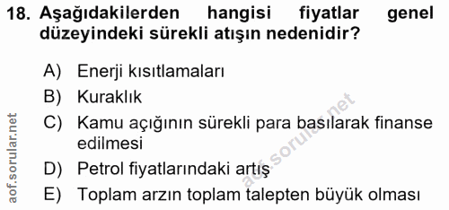 18. soru: Aşağıdakilerden hangisi fiyatlar genel düzeyindeki sürekli atışın nedenidir? A) Enerji kısıtlamaları B) Kuraklık C) K…