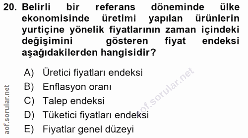 20. soru: Belirli bir referans döneminde ülke ekonomisinde üretimi yapılan ürünlerin yurtiçine yönelik fiyatlarının zaman içind…