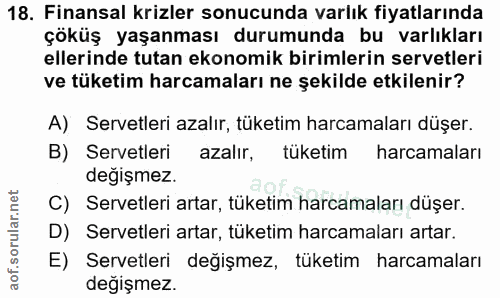 18. soru: Finansal krizler sonucunda varlık fiyatlarında çöküş yaşanması durumunda bu varlıkları ellerinde tutan ekonomik birim…