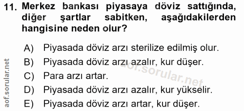 11. soru: Merkez bankası piyasaya döviz sattığında, diğer şartlar sabitken, aşağıdakilerden hangisine neden olur? A) Piyasada d…