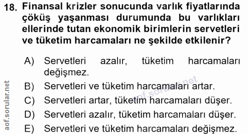 18. soru: Finansal krizler sonucunda varlık fiyatlarında çöküş yaşanması durumunda bu varlıkları ellerinde tutan ekonomik birim…
