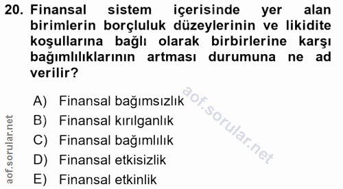 20. soru: Finansal sistem içerisinde yer alan birimlerin borçluluk düzeylerinin ve likidite koşullarına bağlı olarak birbirleri…