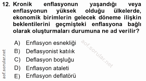 12. soru: Kronik enflasyonun yaşandığı veya enflasyonun yüksek olduğu ülkelerde, ekonomik birimlerin gelecek döneme ilişkin bek…