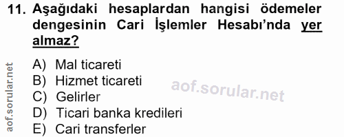 11. soru: Aşağıdaki hesaplardan hangisi ödemeler dengesinin Cari İşlemler Hesabi'nda yer almaz? A) Mal ticareti B) Hizmet ticar…
