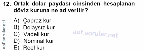 12. soru: Ortak dolar paydası cinsinden hesaplanan döviz kuruna ne ad verilir? A) Çapraz kur B) Dolaysız kur C) Vadeli kur D) N…