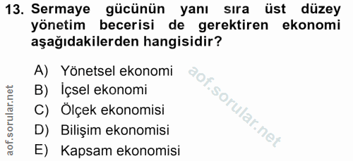 13. soru: Sermaye gücünün yanı sıra üst düzey yönetim becerisi de gerektiren ekonomi aşağıdakilerden hangisidir? A) Yönetsel ek…