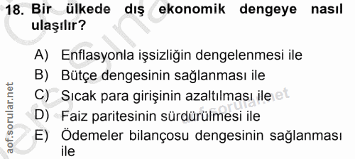 18. soru: Bir ülkede dış ekonomik dengeye nasıl ulaşılır? A) Enflasyonla işsizliğin dengelenmesi ile B) Bütçe dengesinin sağlan…