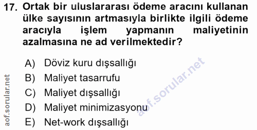 17. soru: Ortak bir uluslararası ödeme aracını kullanan ülke sayısının artmasıyla birlikte ilgili ödeme aracıyla işlem yapmanın…