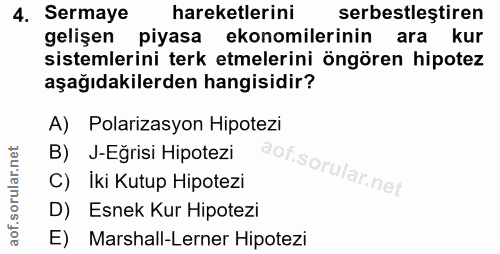 4. soru: Sermaye hareketlerini serbestleştiren gelişen piyasa ekonomilerinin ara kur sistemlerini terk etmelerini öngören hipo…