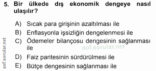 5. soru: Bir ülkede dış ekonomik dengeye nasıl ulaşılır? A) Sıcak para girişinin azaltılması ile B) Enflasyonla işsizliğin den…