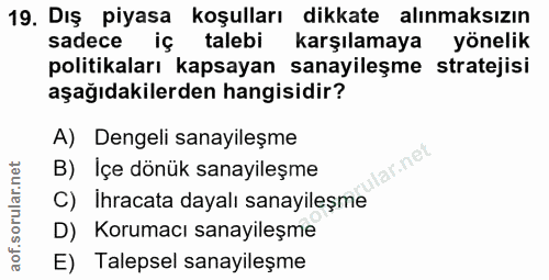 19. soru: Dış piyasa koşulları dikkate alınmaksızın sadece iç talebi karşılamaya yönelik politikaları kapsayan sanayileşme stra…