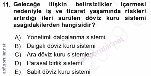11. soru: Geleceğe ilişkin belirsizlikler içermesi nedeniyle iş ve ticaret yaşamında riskleri artırdığı ileri sürülen döviz kur…