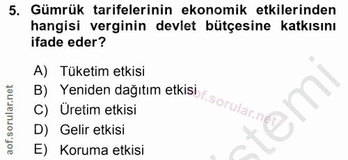 5. soru: Gümrük tarifelerinin ekonomik etkilerinden hangisi verginin devlet bütçesine katkısını ifade eder? A) Tüketim etkisi…