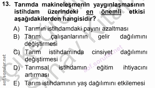 13. soru: Tarımda makineleşmenin yaygınlaşmasının istihdam üzerindeki en onemli etkisi aşağıdakilerden hangisidir? A) Tarımın i…