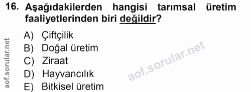 16. soru: Aşağıdakilerden hangisi tarımsal üretim faaliyetlerinden biri değildir? A) Çiftçilik B) Doğal üretim C) Ziraat D) Hay…