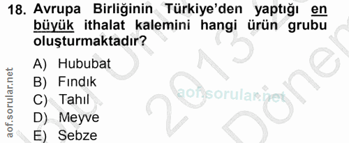 18. soru: Avrupa Birliğinin Türkiye'den yaptığı en büyük ithalat kalemini hangi ürün grubu oluşturmaktadır? A) Hububat B) Findi…