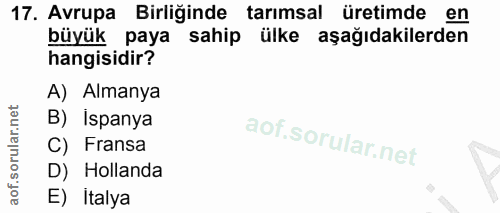 17. soru: Avrupa Birliğinde tarımsal üretimde en büyük paya sahip ülke aşağıdakilerden hangisidir? A) Almanya B) Ispanya C) Fra…
