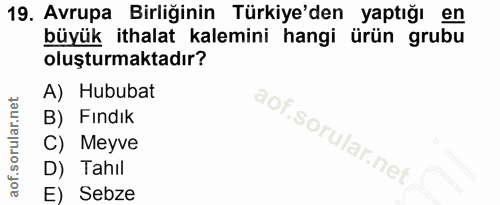 19. soru: Avrupa Birliğinin Türkiye'den yaptığı en büyük ithalat kalemini hangi ürün grubu oluşturmaktadır? A) Hububat B) Findı…