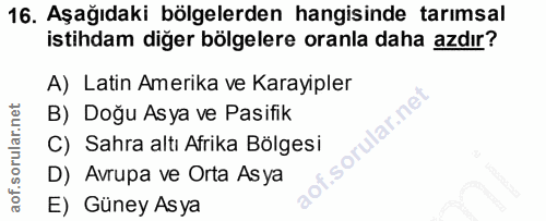 16. soru: Aşağıdaki bölgelerden hangisinde tarımsal istihdam diğer bölgelere oranla daha azdır? A) Latin Amerika ve Karayipler…