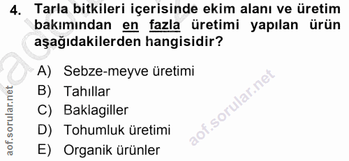 4. soru: Tarla bitkileri içerisinde ekim alanı ve üretim bakımından en fazla üretimi yapılan ürün aşağıdakilerden hangisidir?…