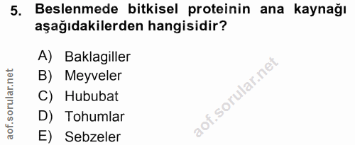 5. soru: Beslenmede bitkisel proteinin ana kaynağı aşağıdakilerden hangisidir? A) Baklagiller B) Meyveler C) Hububat D) Tohuml…