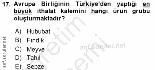 17. soru: Avrupa Birliğinin Türkiye'den yaptığı en büyük ithalat kalemini hangi ürün grubu oluşturmaktadır? A) Hububat B) Fındı…