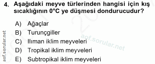 4. soru: Aşağıdaki meyve türlerinden hangisi için kış sıcaklığının 0°C ye düşmesi dondurucudur? A) Ağaçlar B) Turunçgiller C)…